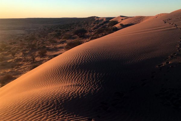 Big Red - Simpson Desert